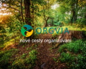 nové cesty organizování