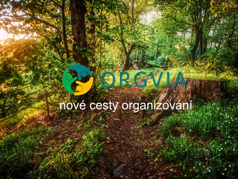 nové cesty organizování